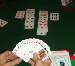 Playing bridge