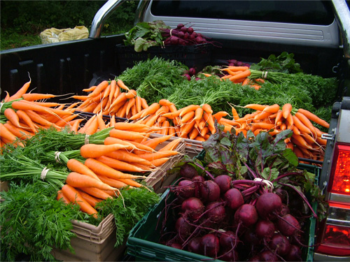 Farmers Market Produce