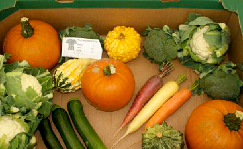 Harvest Fair Produce