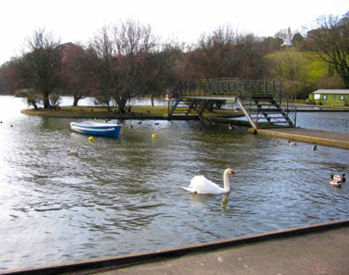 The Boating Lake