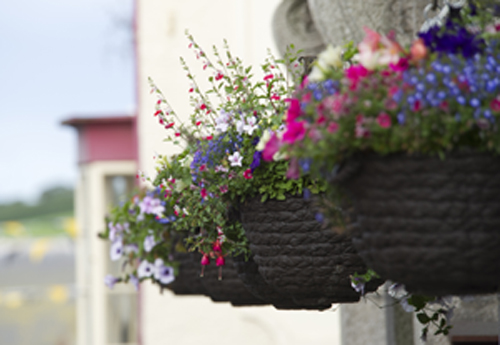 Town Baskets